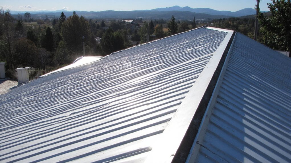 comprehensive metal roof protection