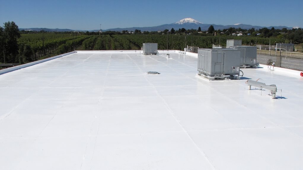 energy efficient roofing solutions