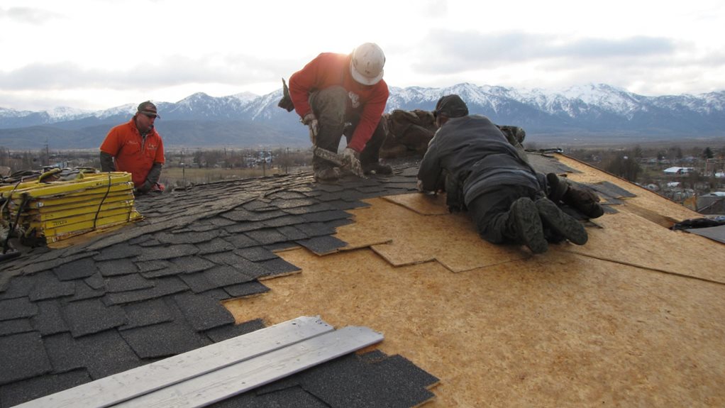 roof durability and protection