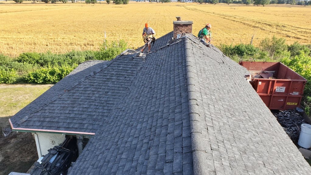 roof replacement services offered
